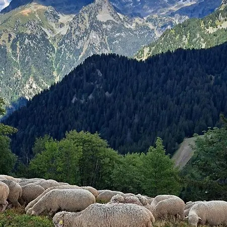 Studio Plein Sud Eterlou Chamrousse